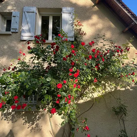 Maison Des Soles Piscine Cahors St Cirq Lapopie * Lamagdelaine