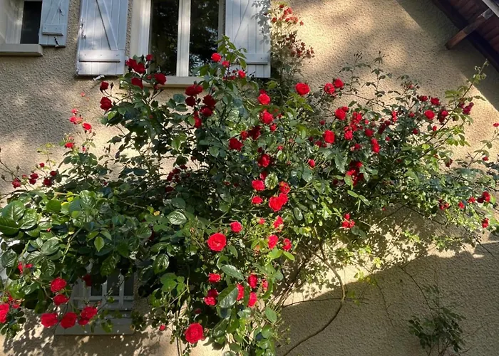 Maison Des Soles Piscine Cahors St Cirq Lapopie * Lamagdelaine